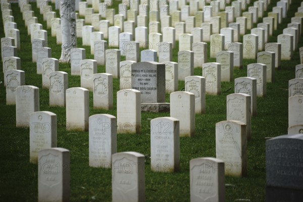 San Fransisco, United States - December 21, 2015: The United States National Cemetery in San Fransisco with graves of fallen soldiers and headstones arranged in rows on 21 December 2015 in San Fransisco