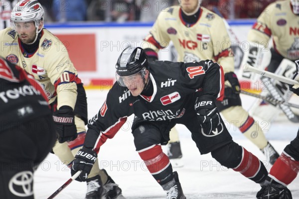 LanxessArena, Cologne, North Rhine-Westphalia, Justin Schütz (Cologne Sharks, #10), PENNY DEL, Cologne Sharks- Nuremberg Ice Tigers on 27/09/2024 at LanxessArena in Cologne Germany .Photo
