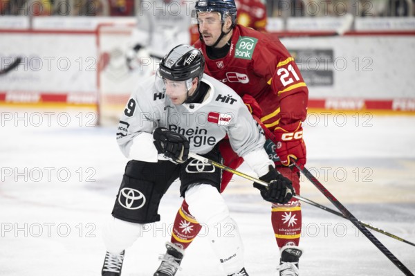 PSD Bank Dome, Düsseldorf, North Rhine-Westphalia, Maximilian Kammerer (Koelner Haie, #9), Brendan O'Donnel (Düsseldorfer EG, #21), PENNY DEL, Düsseldorfer EG- Kölner Haie on 24.01.2025 at the PSD Bank Dome in Düsseldorf Germany