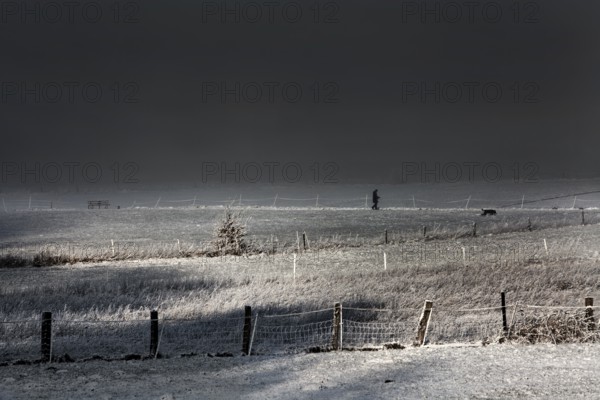 Winter walk with dog, Wesertal, Weser Uplands, Weserbergland, Hesse, Germany