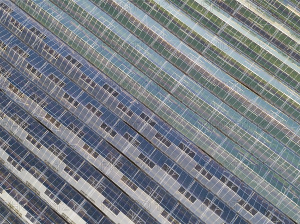 Hothouse in Chailly-en-Biere, Seine-et-Marne, Ile-de-France, France