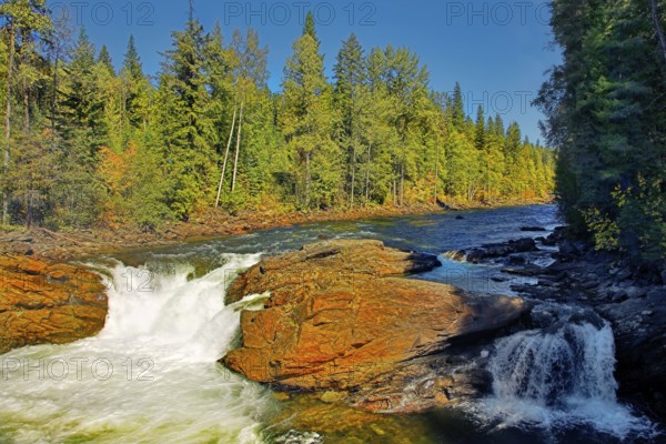 The mountain river with the transparent water, current among woods