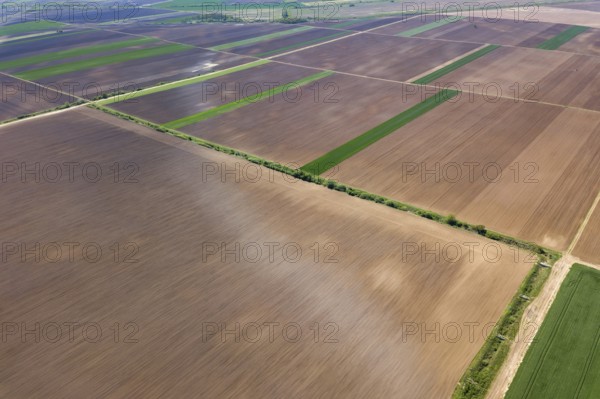 Spring Fields. Aerial view of agricultural fields