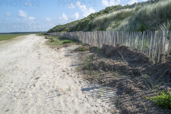 The nature reserve of La Maye in northern France
