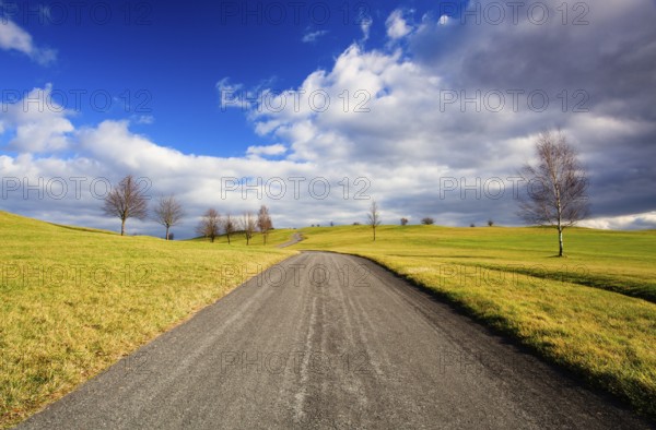 Empty road in the spring landscape at sunset