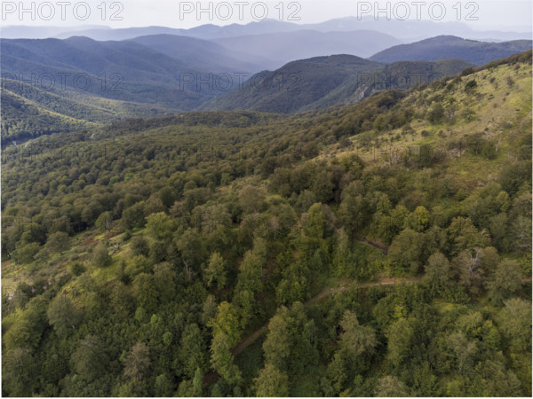 Aralar natural park, Guipuzcoa-Navarra, Spain