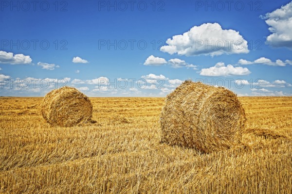 Two bales of wheat straw on harvested field