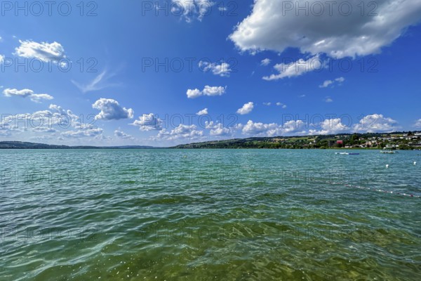 A calm lake with clear water under a sunny, blue sky with white clouds and a green landscape on the shore, Sempach, Lucerne, Switzerland