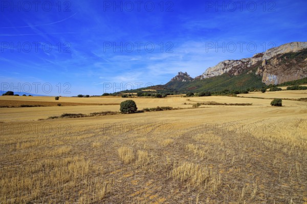 Basque country, province of Guipuzcoa, Spain. Lush colors of autumn. Gorgeous scenic road from San Sebastian to Tolosa. Rural fields after harvest
