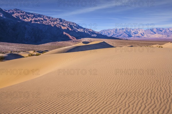 Easily accessible dunes are located along Road 190. Magical desert morning. Mesquite Flat Sand Dunes - dunes in Death Valley. USA, California. The concept of extreme, active and photo tourism