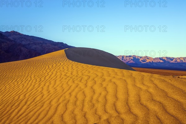 Mesquite Flat Sand Dunes - dunes in Death Valley, USA. Morning light illuminates the soft sandy hills. Magical desert morning. The sand lies in light waves. The concept of active and photo tourism