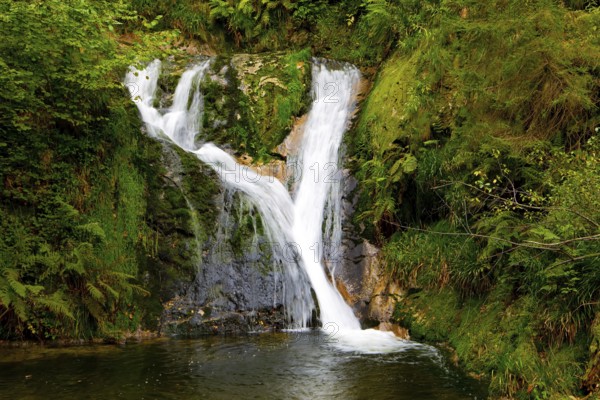Germany. The Black Forest /Schwarzwald/ - famous forest in the center of Europe. Picturesque high-water cascading waterfall Allerheiligen. Autumn cloudy day