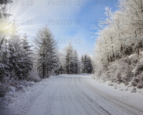 Ski track runs along the road. Solar Christmas morning in a snowy forest