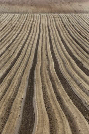 Furrows