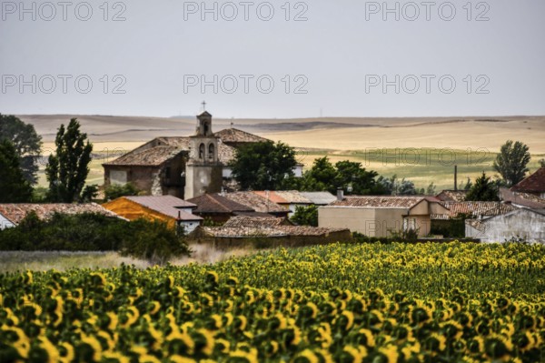 Spanish landscape view of european countryside rural area in castilla y leon burgos spain