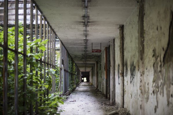 Details of an old abandoned factory