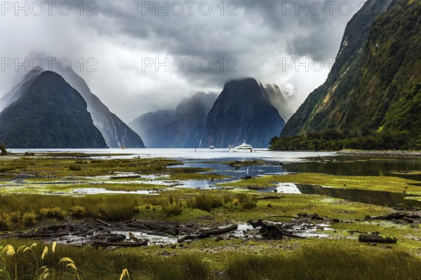 Sunlight breaks through storm clouds. Marshy, shallow, overgrown with marsh grass coast of the fjord. New Zealand - magic land. Concept of exotic, active and photographic tourism