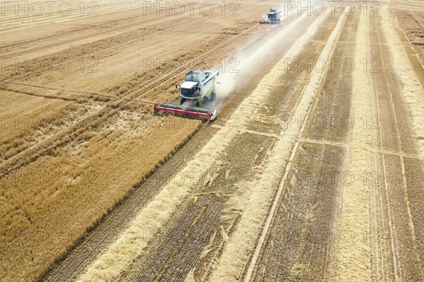 Combine harvester working on a wheat field. Combine harvester Aerial view