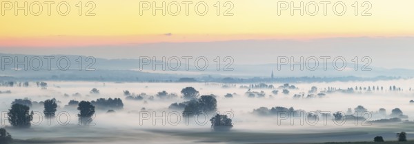 A foggy panorama at sunrise with trees and quiet landscape, Galgenberg, Aachried, Radolfzell, Lake Constance, Baden-Württemberg, Germany