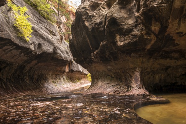 Magnificent Subway gorge landmark in the Zion National Park in Utah, USA