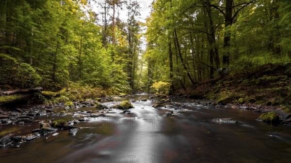 River landscape in Saxony, the Löbauer Wasser - in the heart of Upper Lusatia 5