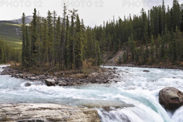 Charming small islet in falls of the mountain river Banff. Early autumn in the Rocky Mountains of Canada