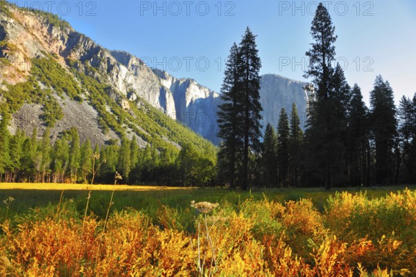 Valley in mountains of national park. Early autumn