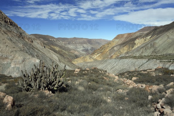 Landscape near Putre, Andes, Chile