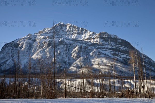 Rocky Mountains in Winter Canada Icefields Parkway