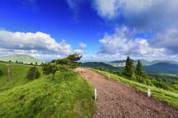 Old volcano of Puy Pariou in Auvergne in France