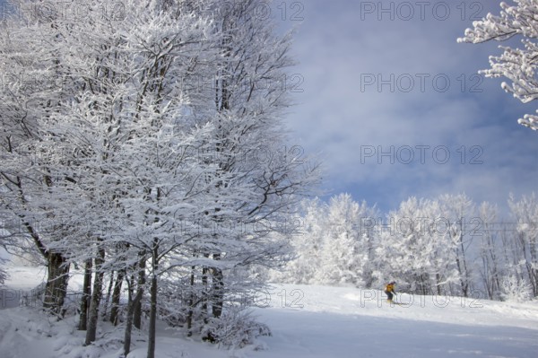 Snow covered trees in the mountains at sunset. Beautiful winter landscape. Selective focus