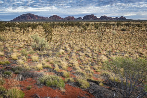 Kata Tjuta, formerly The Olgas, panorama, view from south, Uluru-Kata Tjuta National Park, Northern Territory, Australia