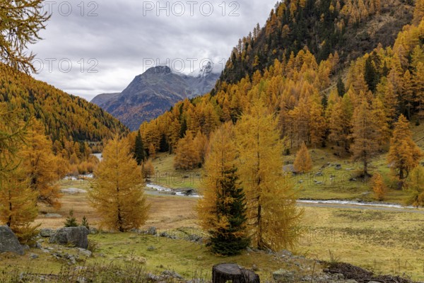 Wild Susasca at the Alp Pra Dadoura, torrent below the Flüela Pass, Val Susaca, S-chanf, Engadin, Grisons, Switzerland