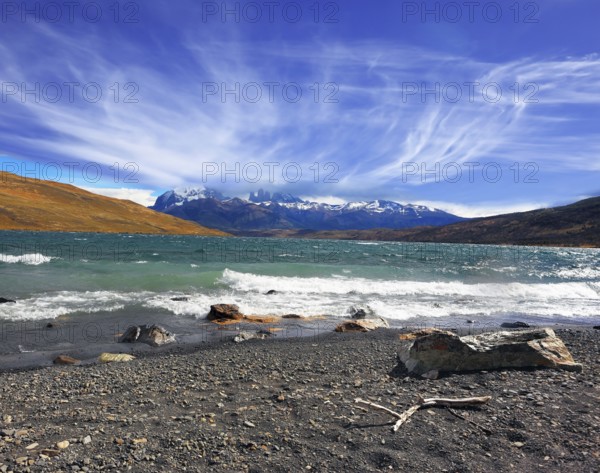 National Park Torres del Paine. Patagonia, Chile. Stormy wind blows high waves on Lake Laguna Azul