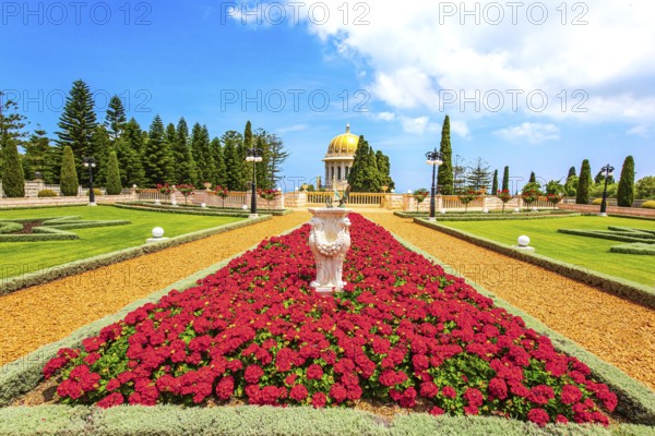 Luxurious flower bed with bright red flowers. Bahai World Center. Pilgrimage center and popular tourist destination. The slope of Mount Carmel. Haifa, Israel