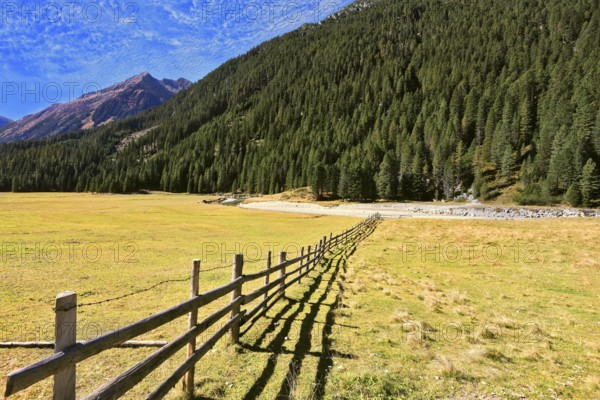Scenic farm fields blocked bythe wooden fence. Steep mountain slopes overgrown with coniferous forests. Alpine Valley in Austria. National Park Krimml waterfalls