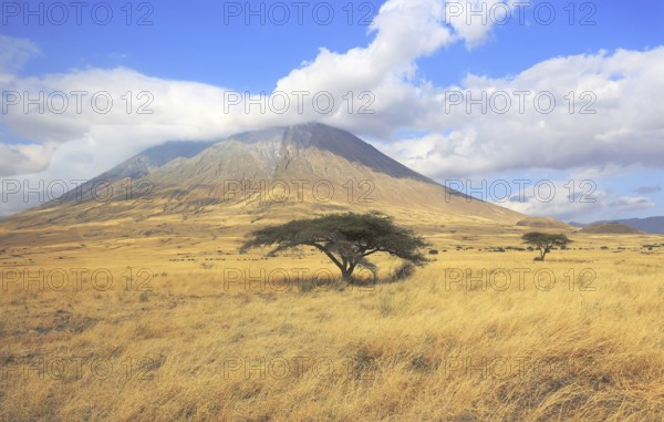 Ol Doinyo Lengai Mountain in the Savannah of Tanzania, East Africa, Lake Natron, Tanzania