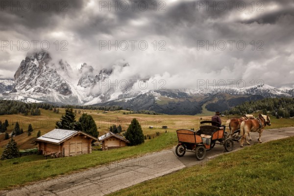A driver in an old carriage with two horses in snowy Alpe di Siusi, Seiser Alm, Sassolungo a Sassoplatto during day
