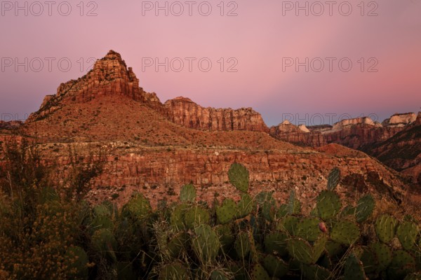 Is an American national park located in southwestern Utah near the town of Springdale.The canyon walls are reddish and tan-colored Navajo Sandstone eroded by the North Fork of the Virgin River