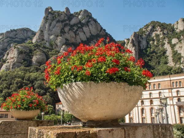 Flower pots on a stone wall in front of a mountain landscape and a building in the background, montserrat, spain