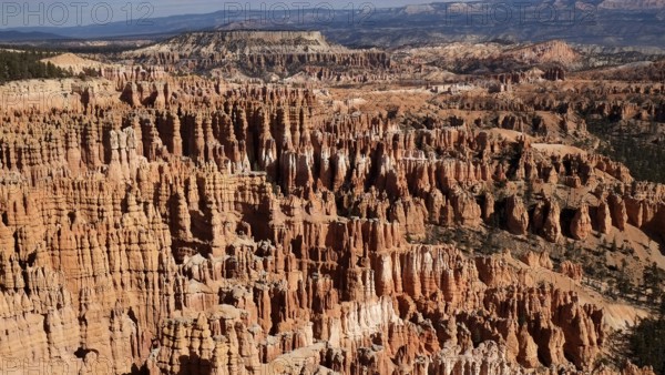 View in the semicircle of the amphitheatre in Bryce Canyon, a grandiose scenery of bizarre rock formations in different shades of red, horizontal format View in the semicircle of the amphitheatre, a grandiose scenery of bizarre rock formations in Bryce Canyon in different shades of red, horizontal format