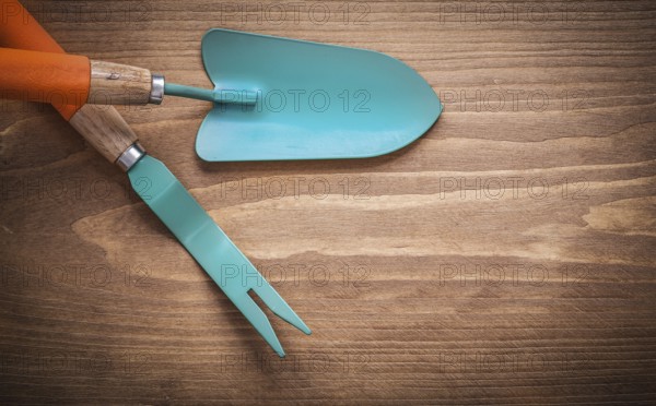 Metal root weeder hand trowel on wood board agriculture concept