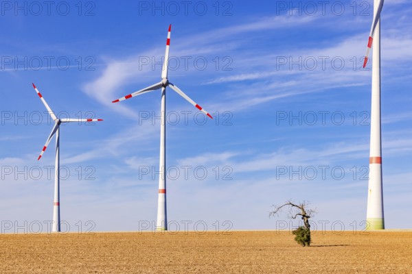 Several innovative wind turbines of different sizes on a barren field behind an old tree in the foreground