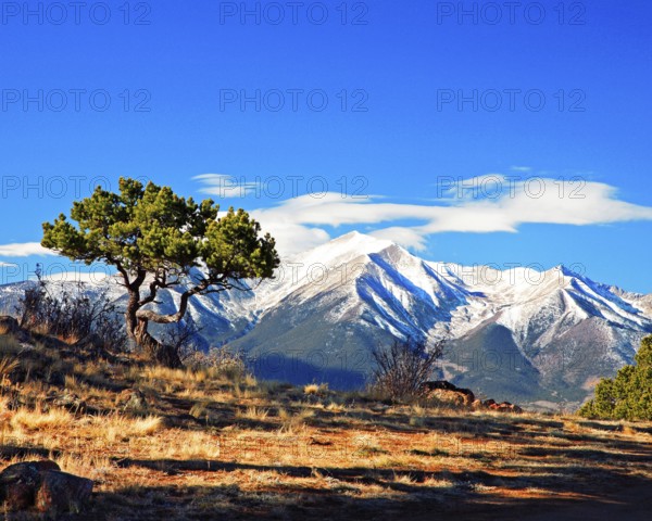 Mountain landscape near Buena Vista, Colorado, Buena Vista, Unitet States