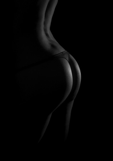 Rear view of sexual female body in black lingerie. Black and white photo