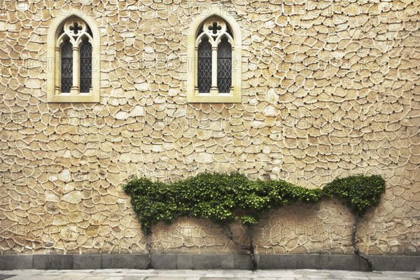 The wall of an ancient building decorated by Gothic windows and ornamental plants