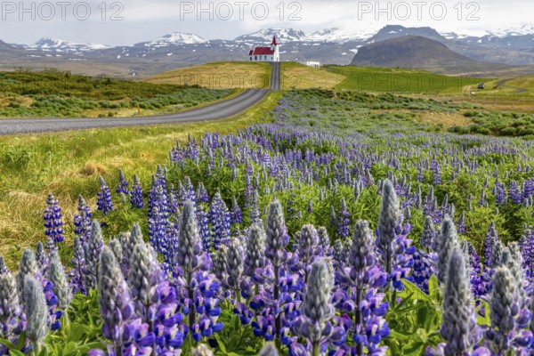 Ingjaldshólskirkja, Snaefellsnes, Iceland