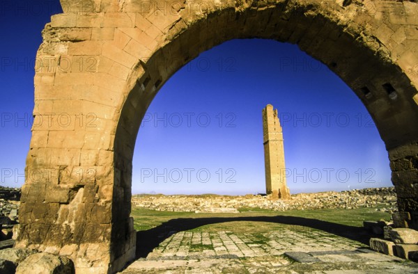 Ruins of the mosque Ulu Cami (s.VIII) . Harran.Southeast Anatolia.Turquia