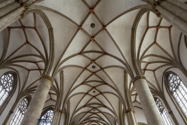 Münster/Westphalia, St Lamberti, vault in the nave