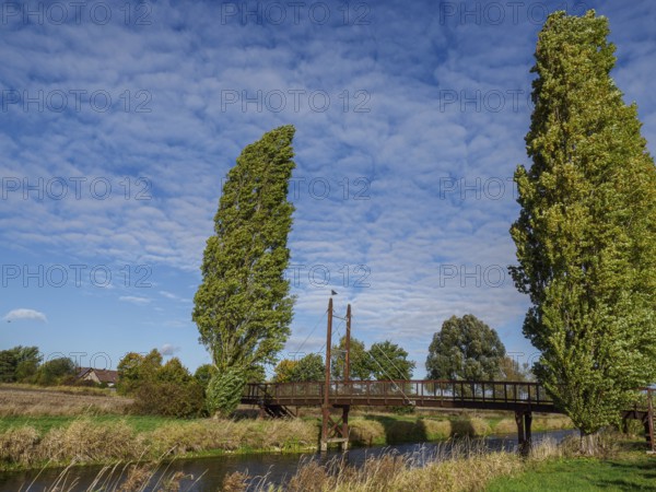 Wooden bridge spanning a river, surrounded by tall trees and a blue, slightly cloudy sky, schüttorf, North Rhine-Westphalia, germany